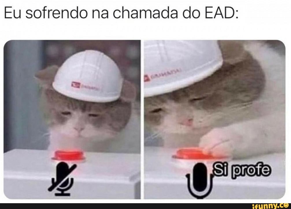 Eu sofrendo na chamada do EAD:
