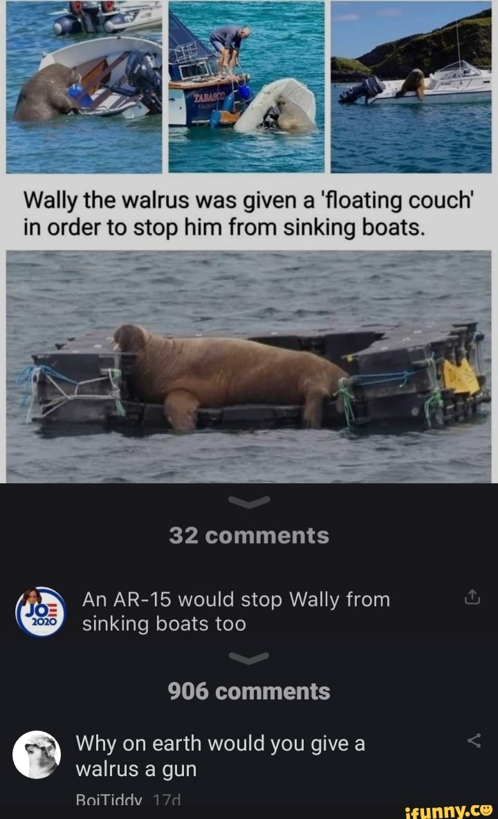 Wally The Walrus Was Given A 'floating Couch' In Order To Stop Him From 