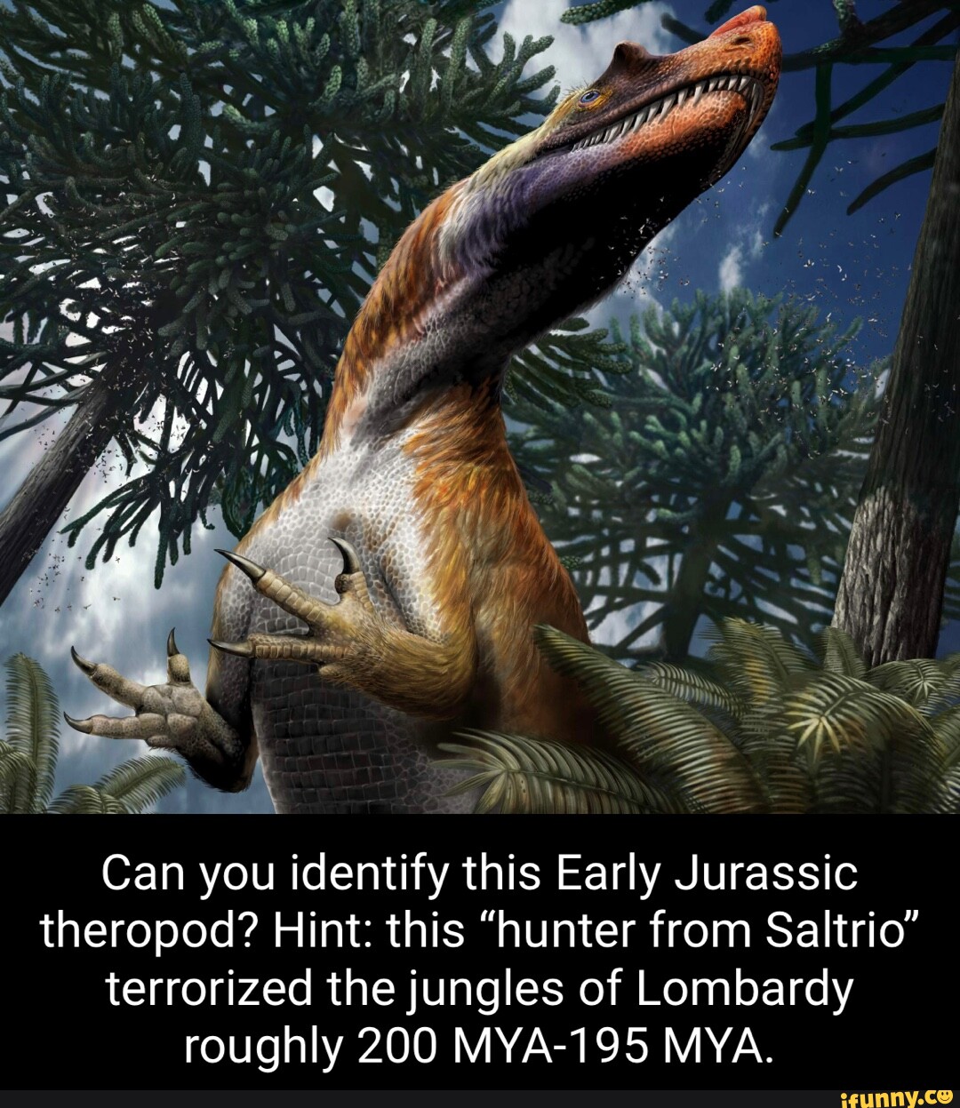 Aa Cad Can You Identify This Early Jurassic Theropod? Hint: This 