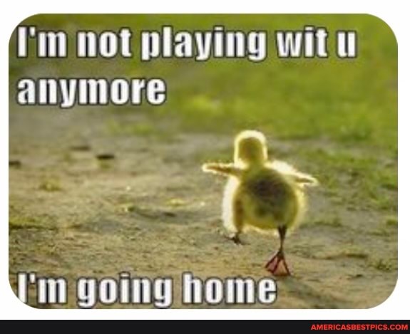 Min not playing Witt anymore
im going home