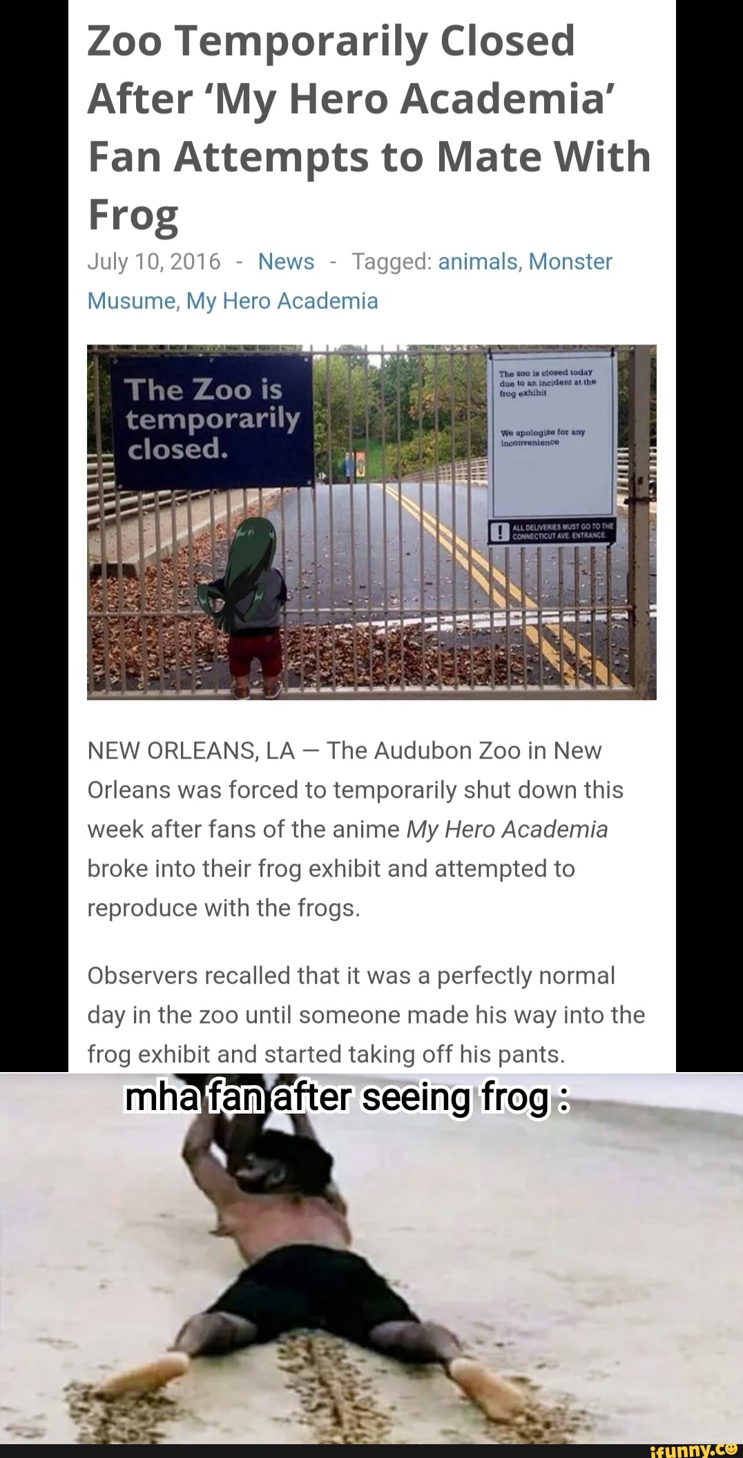 Zoo Temporarily Closed After 'My Hero Academia' Fan Attempts to Mate ...