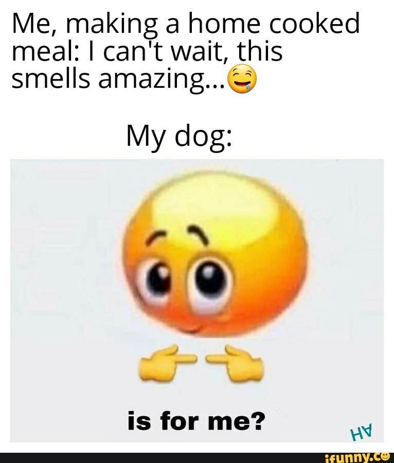 Me, making a home cooked meal: I can't wait, this smells amazing...&
My dog:
is for me?