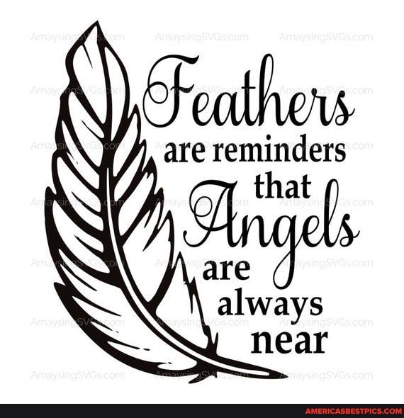 Feathew
are reminders that