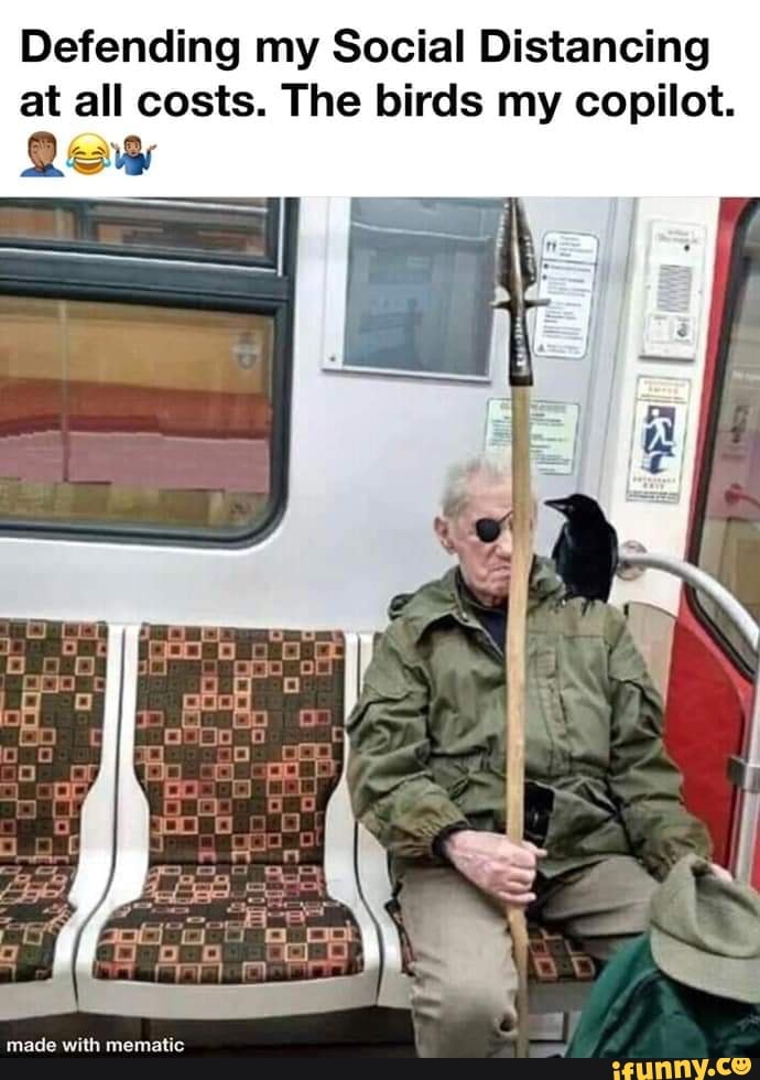 Defending my Social Distancing
at all costs. The birds my copilot.
Low