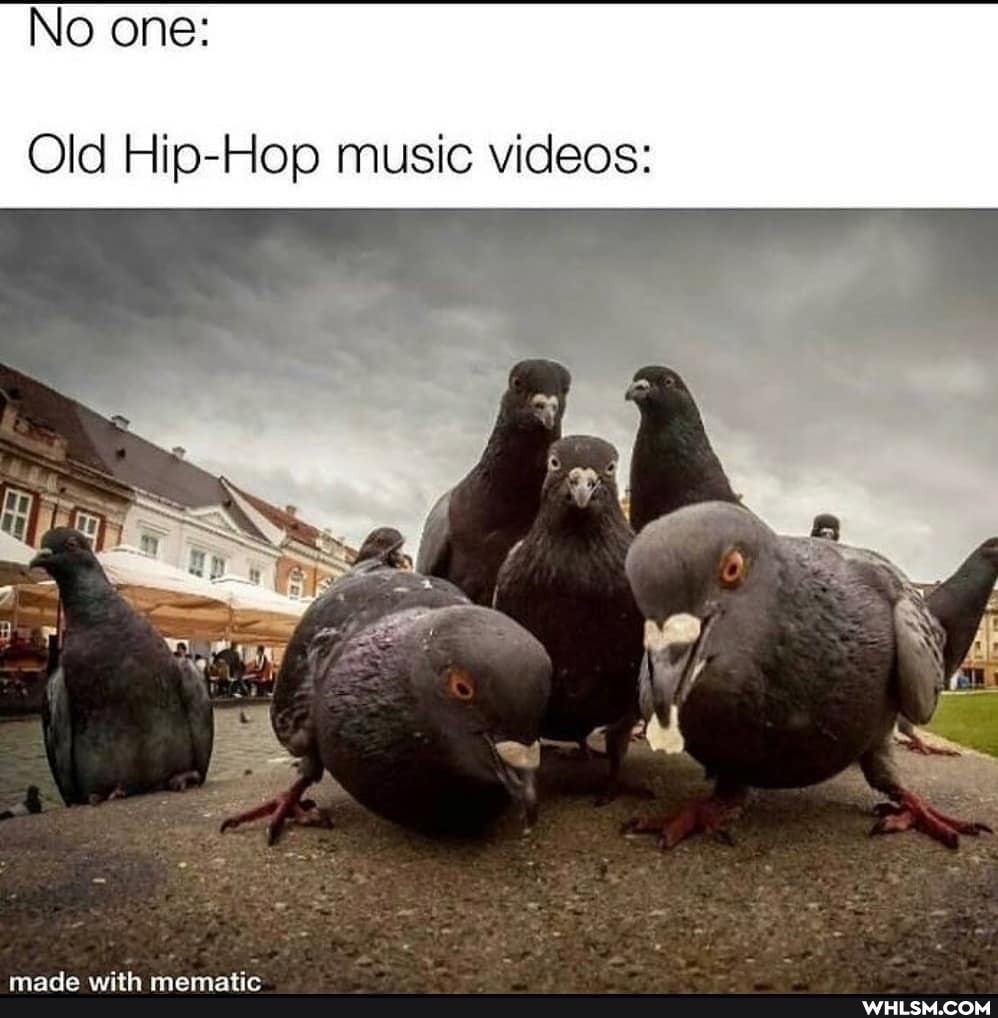 No one:
Old Hip-Hop music videos: