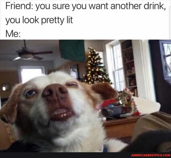 Friend: you sure you want another drink, you look pretty lit
Me: