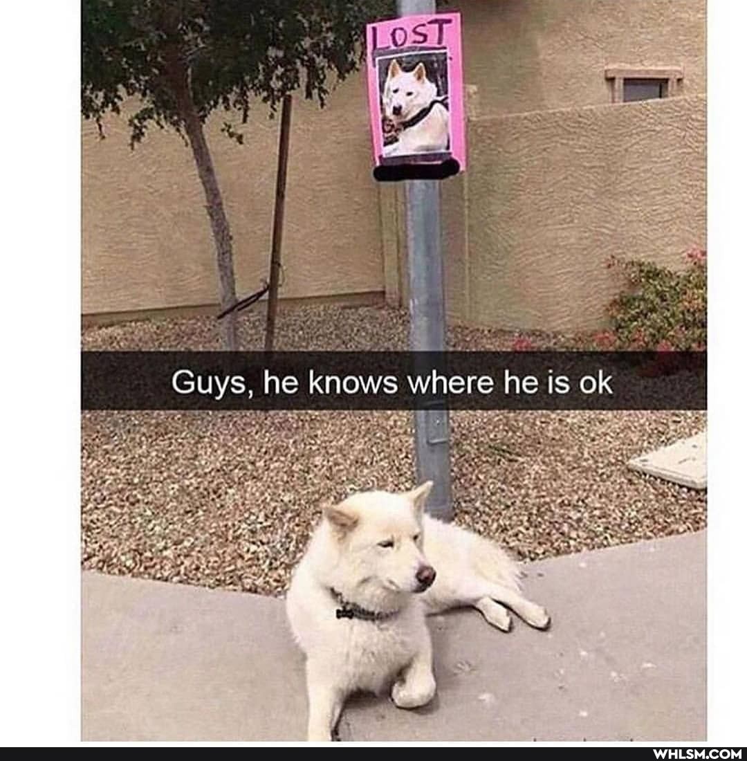 Guys, he knows where he is ok