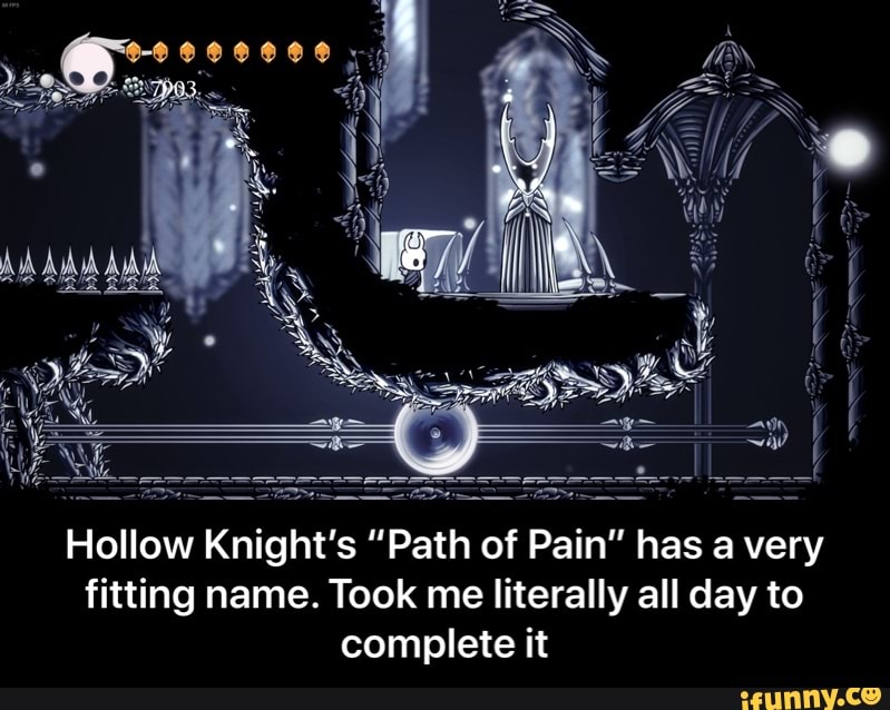 hollow knight path of pain