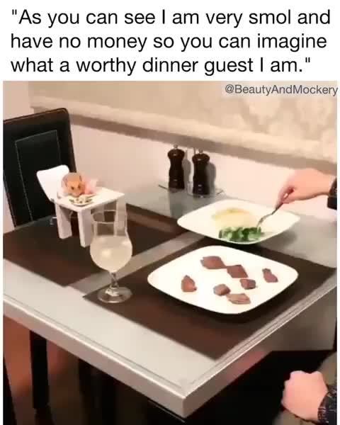 As You Can See I Am Very Smol And Have No Money So You Can Imagine What A Worthy Dinner Guest I Am