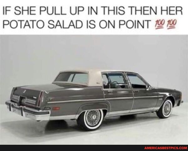 IF SHE PULL UP IN THIS THEN HER POTATO SALAD IS ON POINT