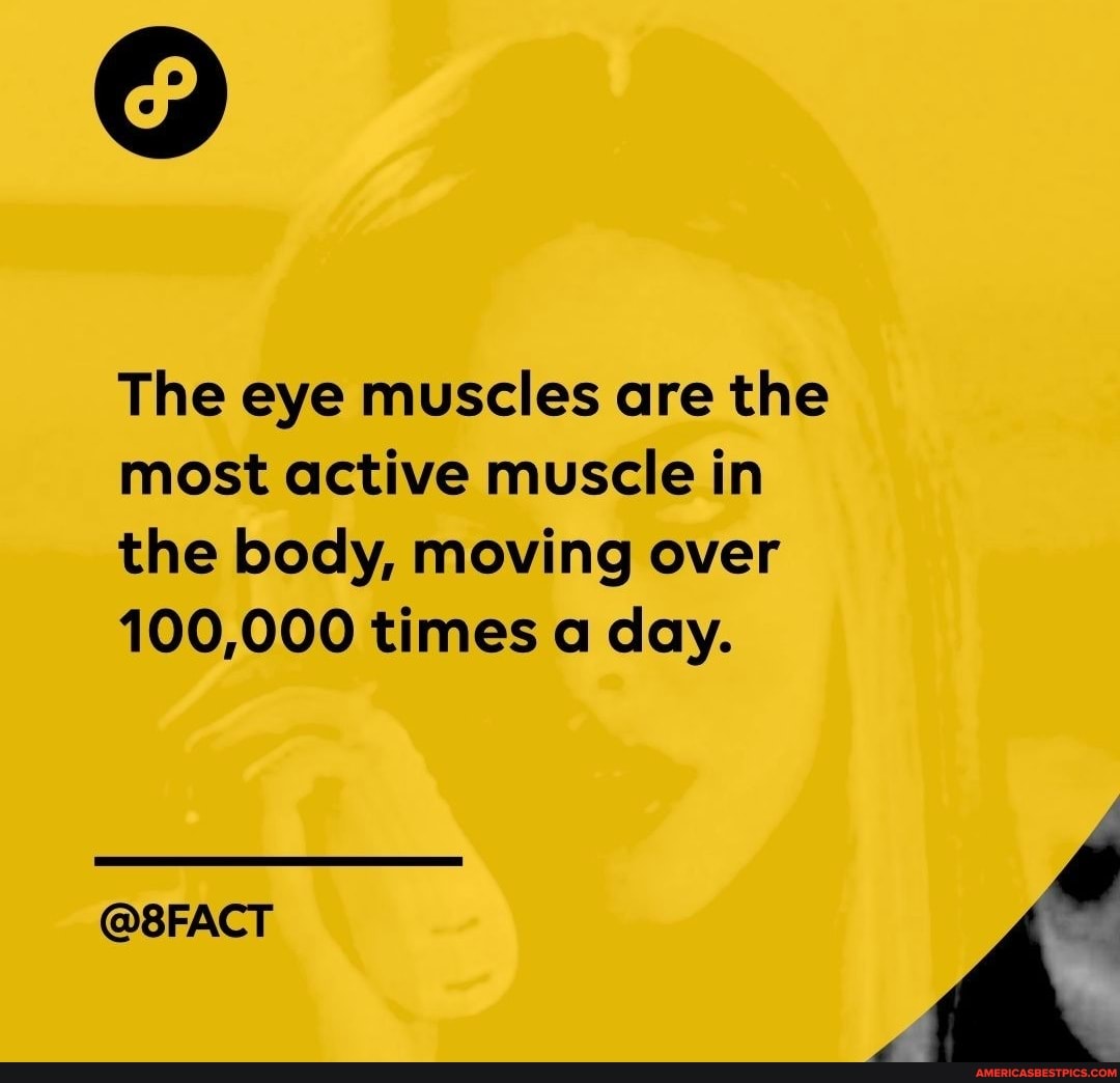The eye muscles are the most active muscle in the body, moving over
100,000 times a day.
@8FACT