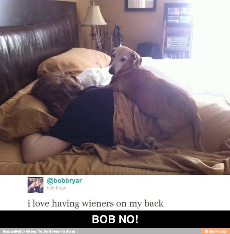i love having wieners on my back
BOB NO! - BOB NO!