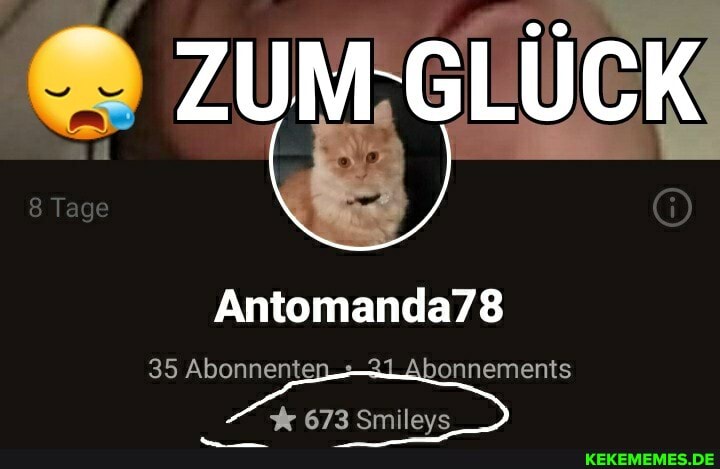 35 Abonnenten bonnements
673 Smileys