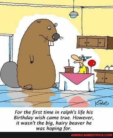 For the first time in ralph's life his
Birthday wish came true. However, it wasn't the big, hairy beaver he was hoping for.