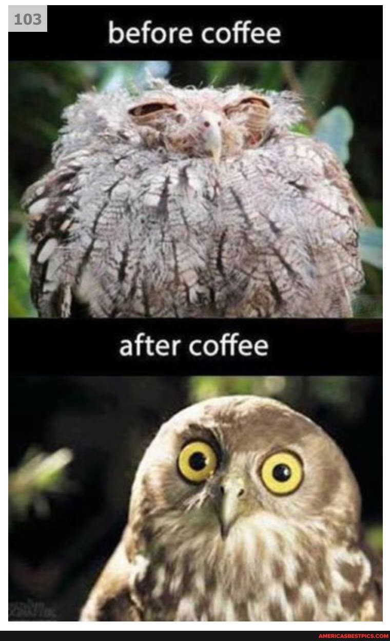 before coffee
after coffee