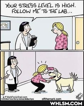 oR STRESS LEVEL HIGH.
FOLLOW ME "To THE LAB...
RX