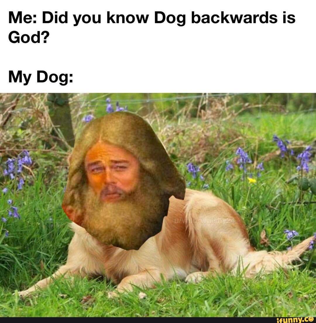 Me Did You Know Dog Backwards Is God My Dog Ifunny