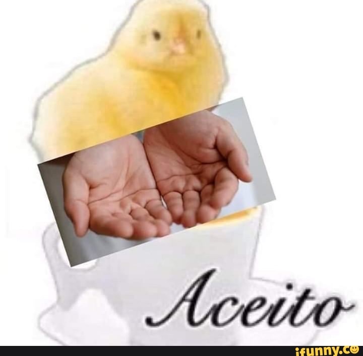 shitpost, shitpostbr, coronavirus, shiposting, tendencia, comentarios