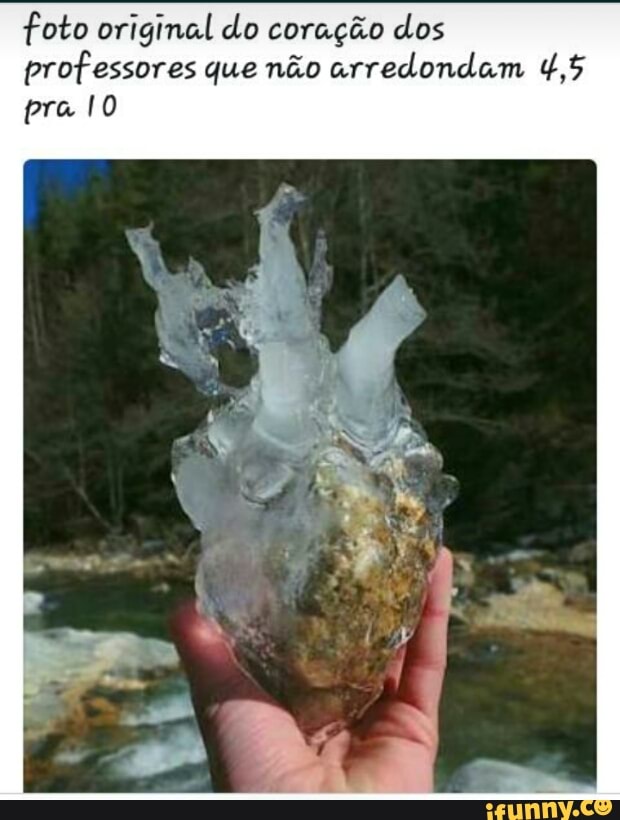 foto original do coração dos
professores que não arredondam 4,5
FAO)