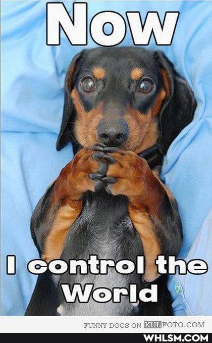 Now
control the
Worid