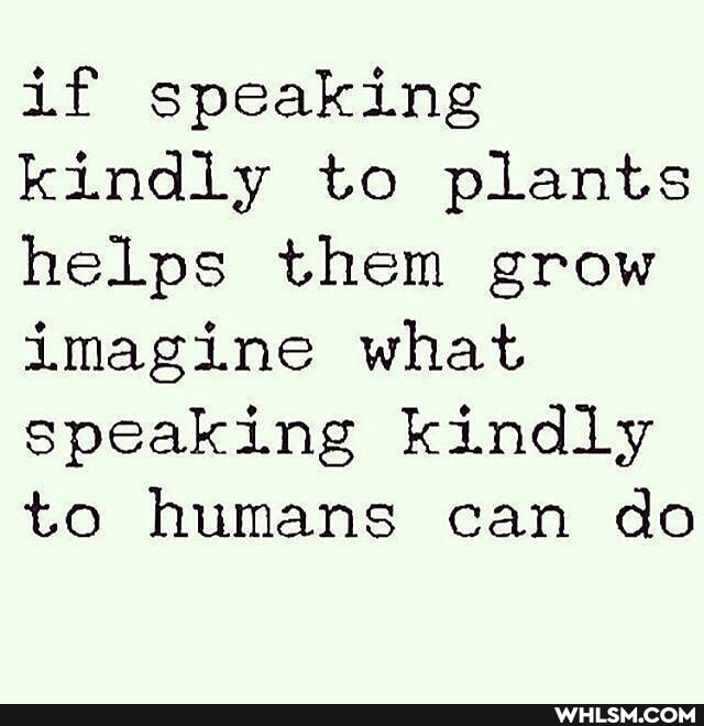 if speaking kindly to plants helps them grow imagine what speaking kindly to humans can do