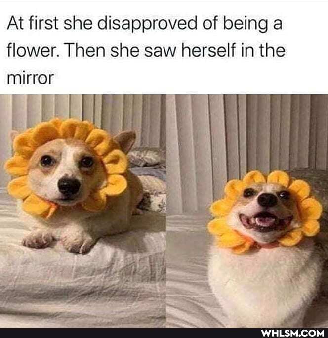 At first she disapproved of being a flower. Then she saw herself in the ...