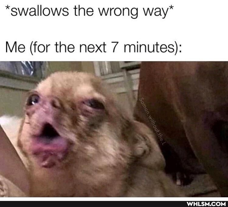 *swallows the wrong way*
Me (for the next 7 minutes):