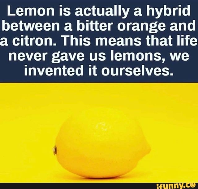 Lemon is actually a hybrid between a bitter orange and . citron. This