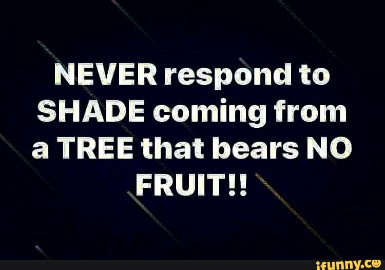 NEVER respond to SHADE coming from a TREE that bears NO FRUIT!!! iFunny