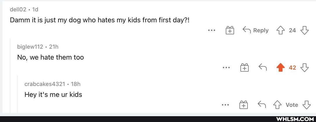 dell02
Damm it is just my dog who hates my kids from first day?!
biglew112
No, we hate them too
crabcakes4321
Hey it's me ur kids
Reply 24
Vote