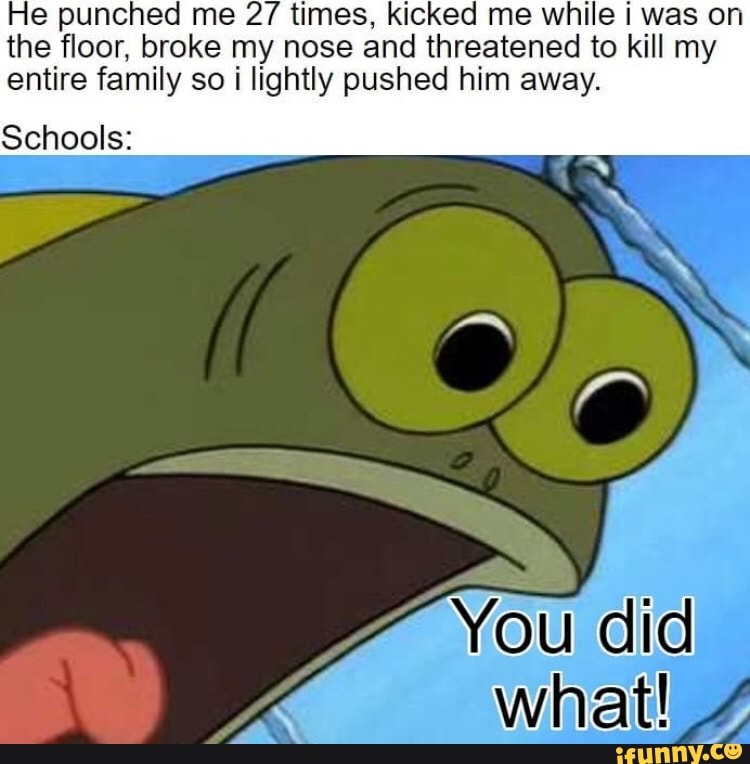 He punched me 2/ times, kicked me while I was on
the floor, broke my nose and threatened to kill my
entire family so i lightly pushed him away.
Schools: