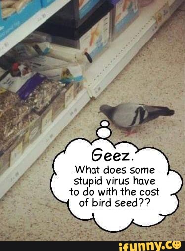 What does some
stupid virus have
to do with the cost
of bird seed??