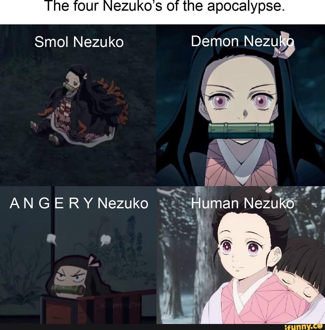 Angerynezuko memes. Best Collection of funny Angerynezuko pictures on ...