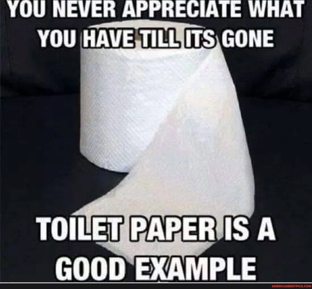 YOU EVER APPRECIATE WHAT VOU HAVE TILL ITS GONE TOILET PAPER IS A GOOD ...