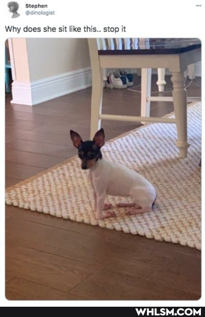 Stephen
Why does she sit like this.. stop it