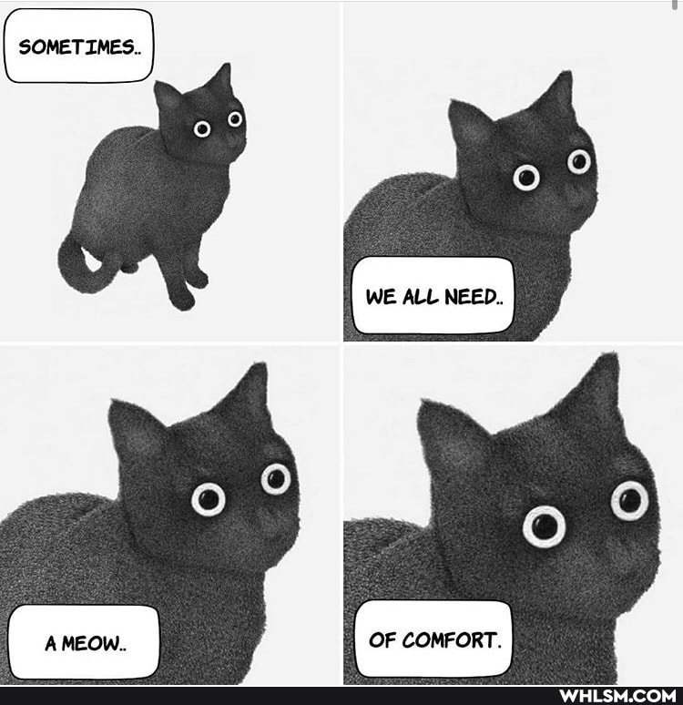 fur_demon, cat, comics, wholesome_memes