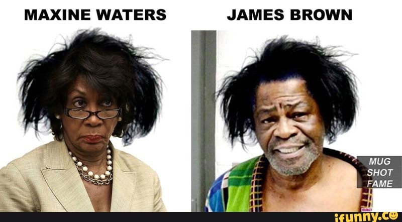 Maxine Waters Funny / Funny Quotes And Sayings About Maxine Waters Page
