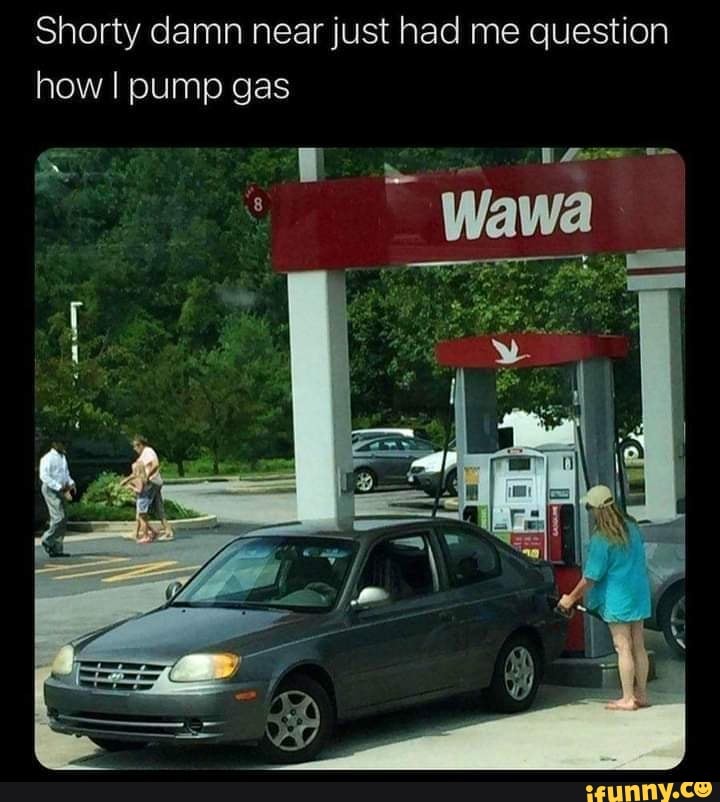 Wawa Memes. Best Collection Of Funny Wawa Pictures On Ifunny