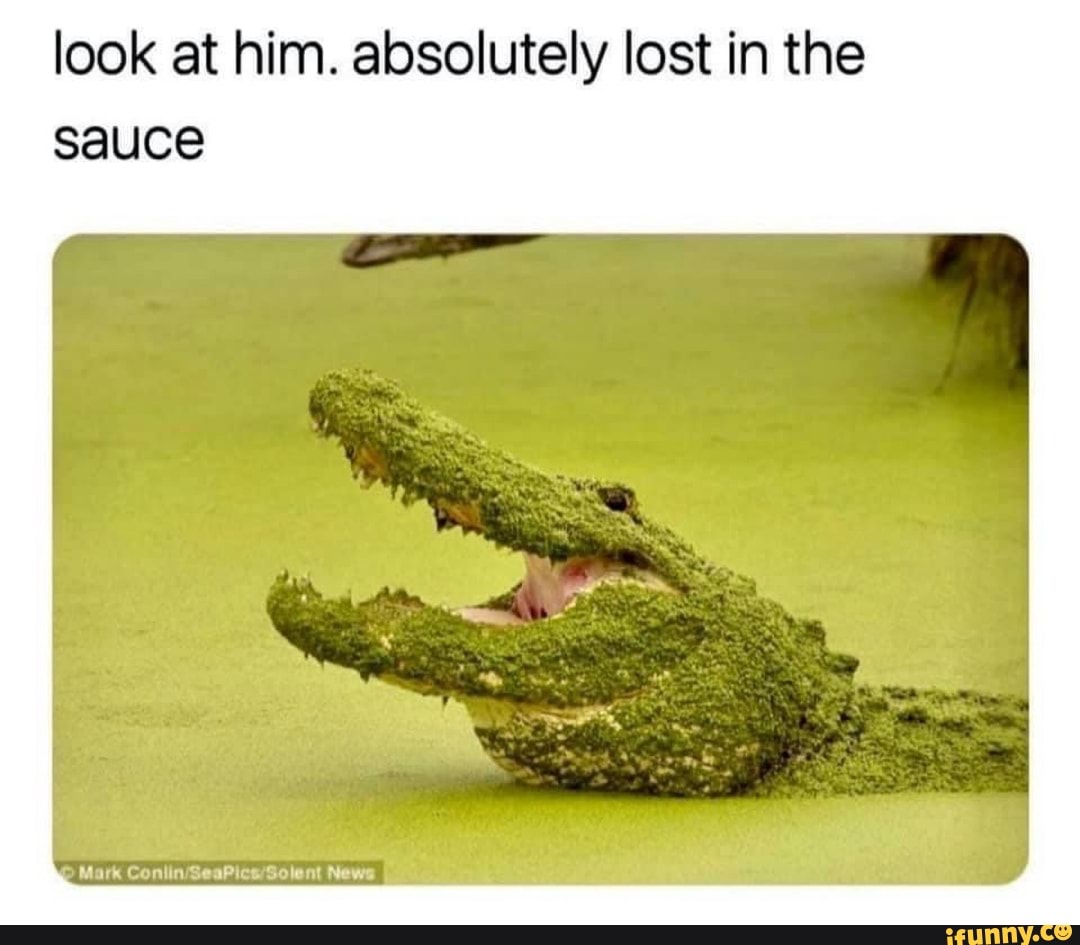 Look at him. absolutely lost in the sauce - iFunny