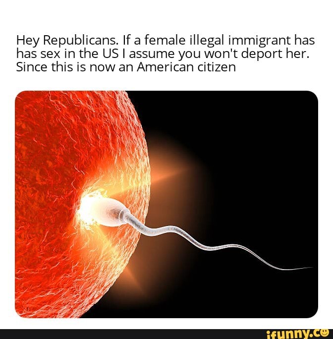 Hey Republicans If A Female Illegal Immigrant Has Has Sex In The Us I Assume You Wont Deport 7469