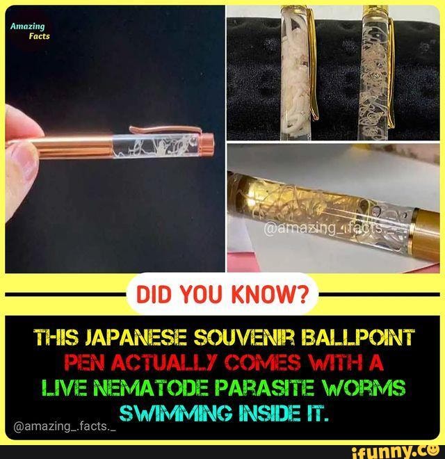 Japanese Ballpoint Pen Comes With a Live Parasitic Worm : r/WTF