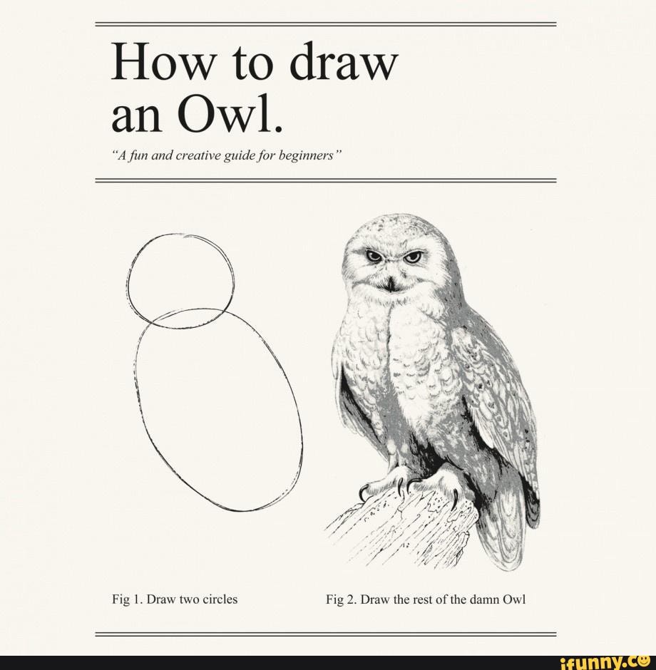 How to draw an owl How to draw an Owl. "A fun and creative guide for