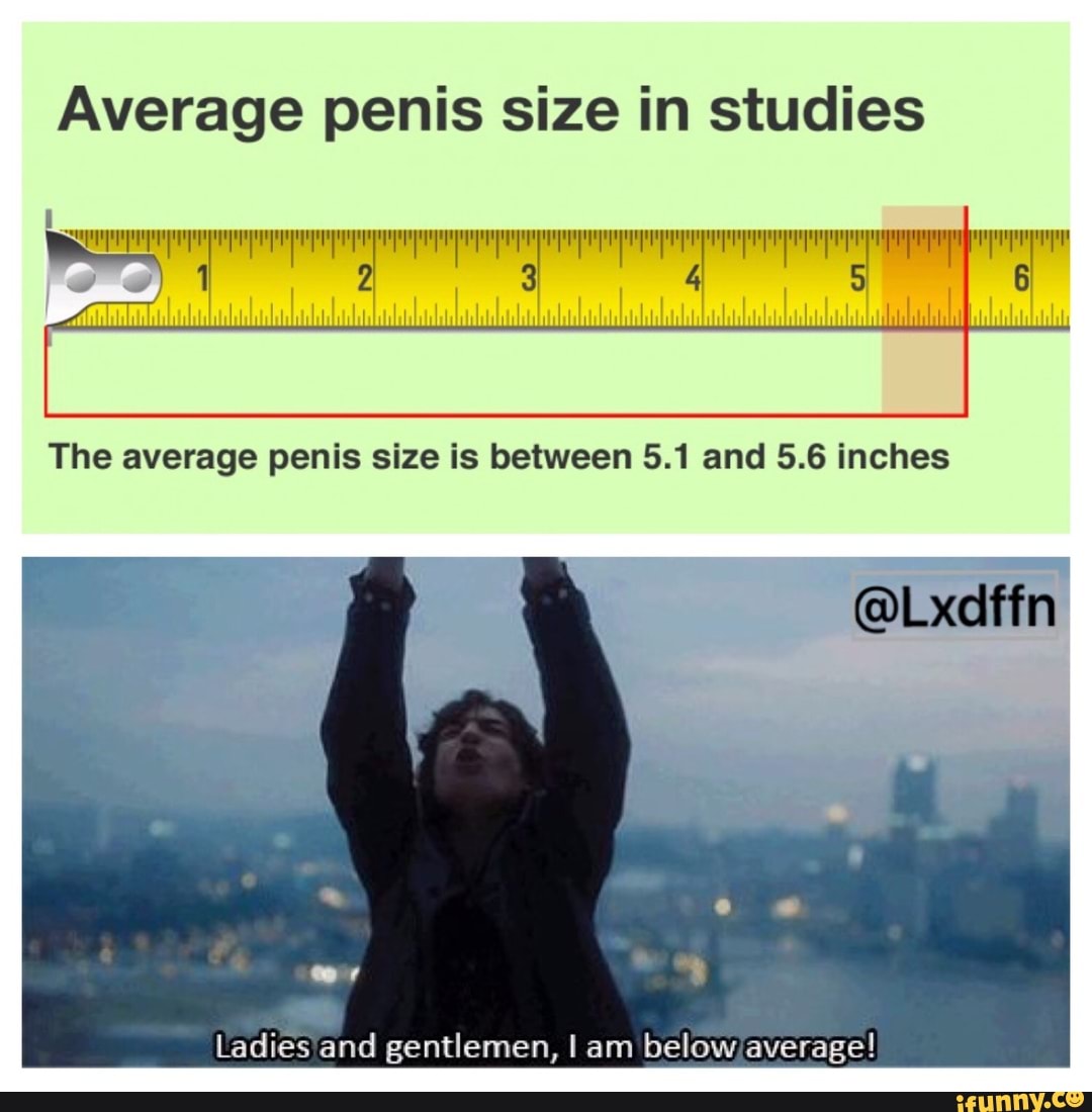Average penis size in studies Ladies and gentlemen, I am below average! 