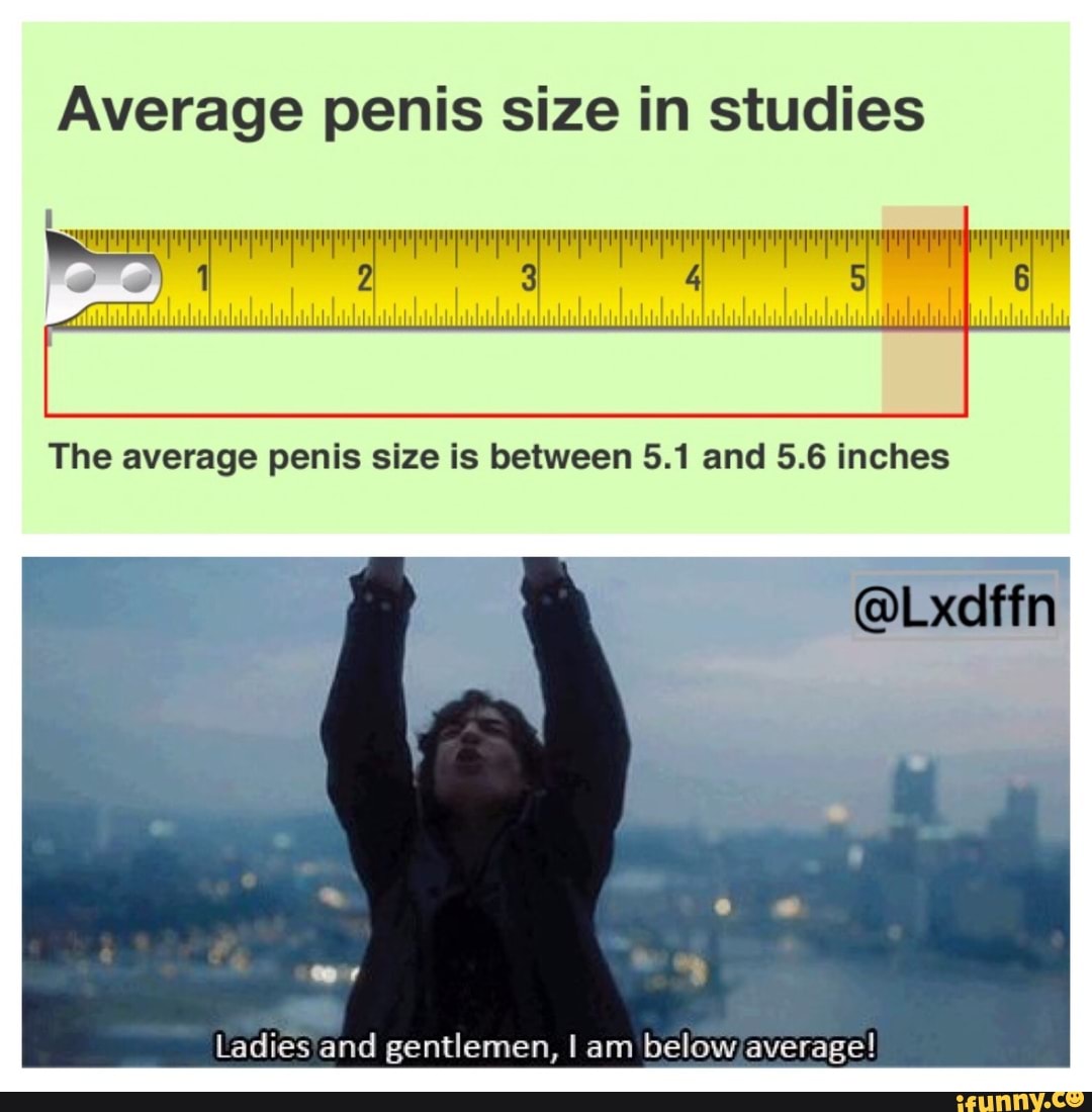 What Is The Average Size Of A Penis In Asia