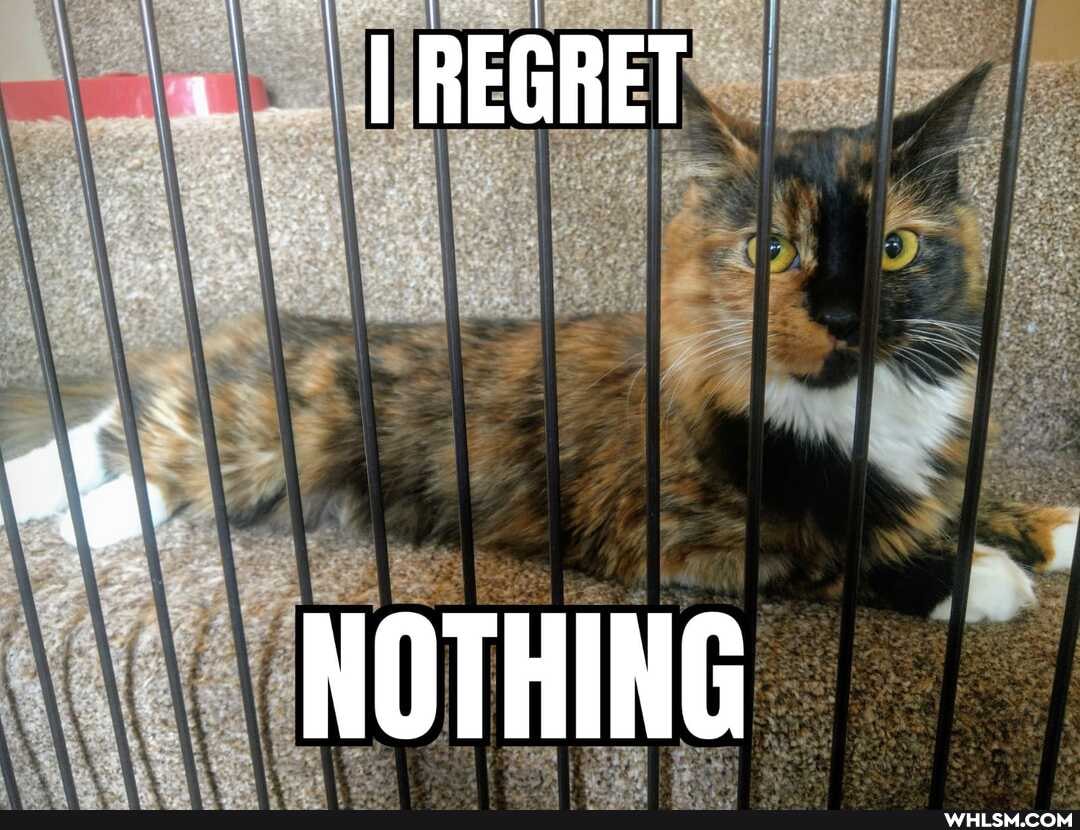 PREGRET
NOTHING