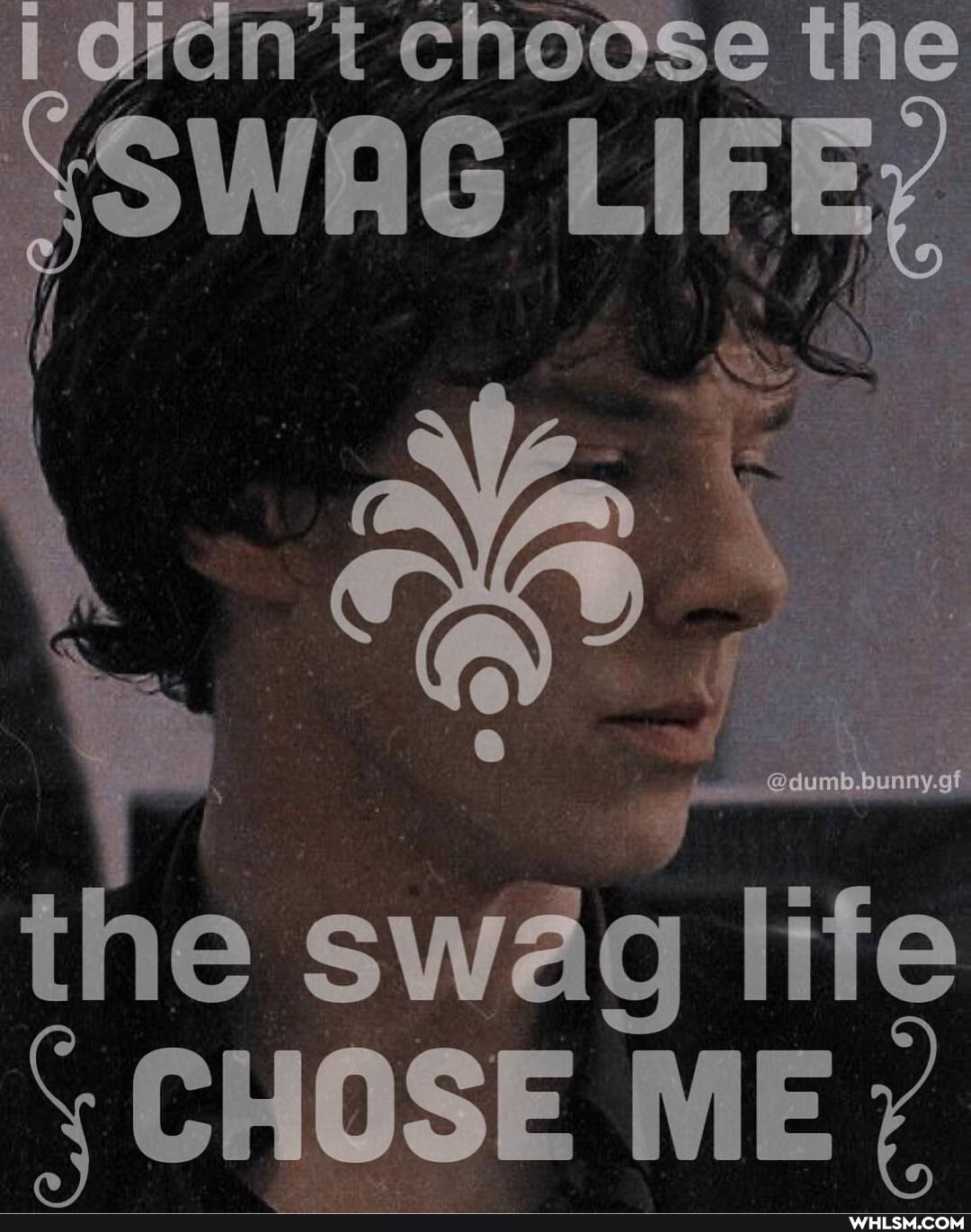 the
the swag
CHOSE WE