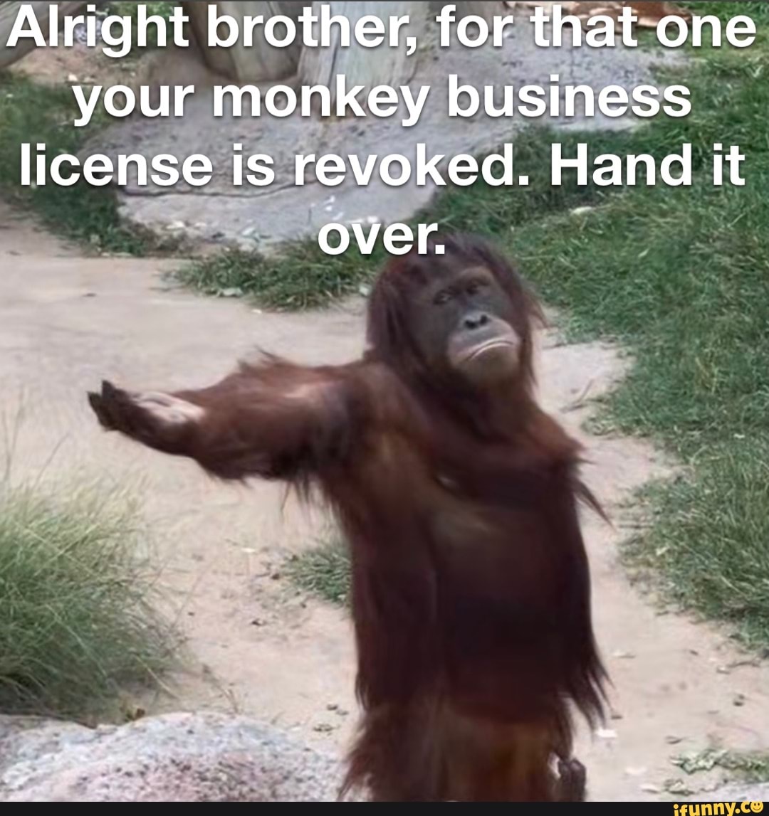 Alright brother, for that one your monkey business license is revoked
