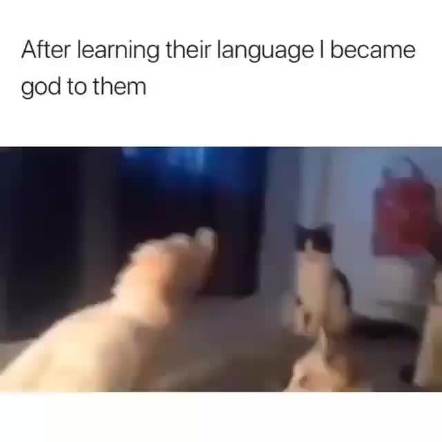 After Learning Their Language I Became God To Them