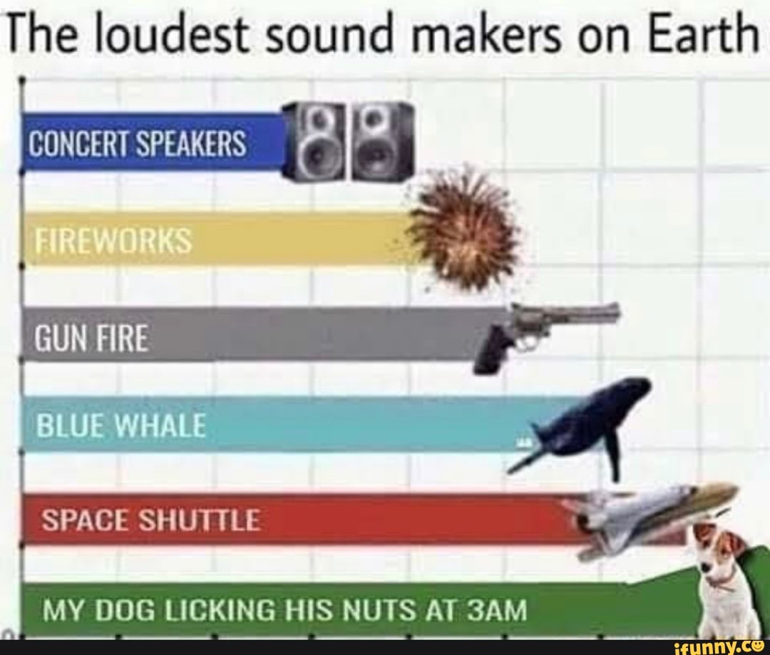 The loudest sound makers on Earth
CONCERT SPEAKERS
GUN FIRE BLUE WHALE SPACE SHUTTLE
MY DOG LICKING HIS NUTS AT