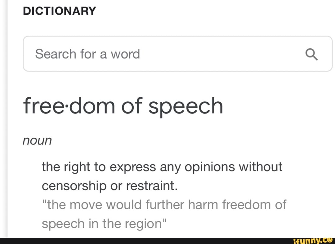 dictionary-free-dom-of-speech-the-right-to-express-any-opinions-without